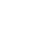 Go Vidi Go logo